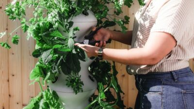 Annuaire des assistants