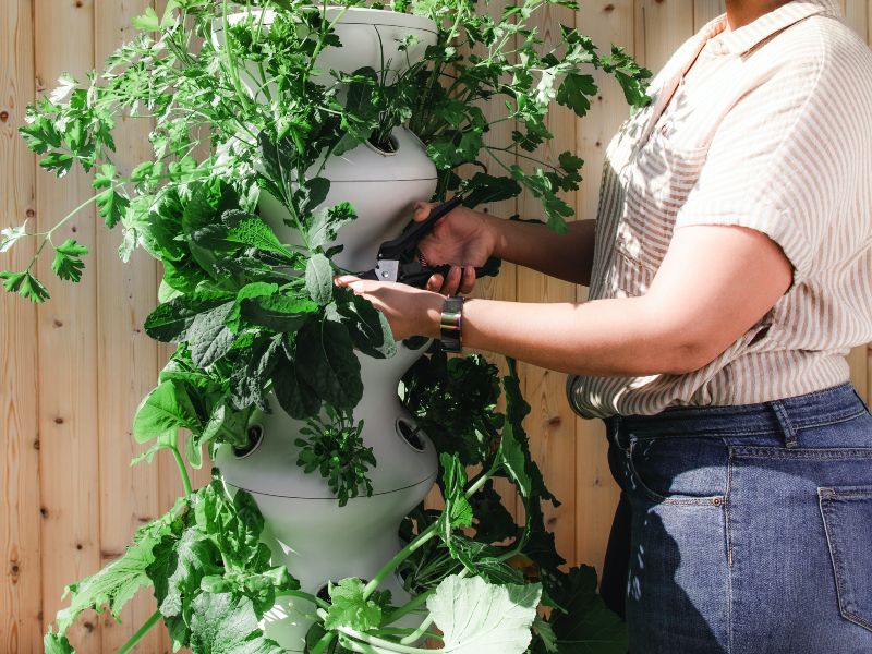 Annuaire des assistants