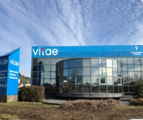 vitae